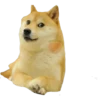 Perros Memes 9