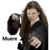 Harry Potter 10