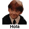 Harry Potter 11