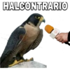 HALCONTRARIO