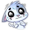 ️Gatito White 13