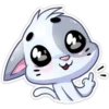 ️Gatito White 14