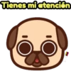 Perritos Pug  3 7