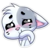 ️Gatito White 15