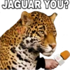 JAGUAR YOU?