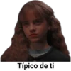 Harry Potter 15