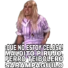 AxPerHdz
¡QUE NO ESTOY CELOSA!
MALDITO PIRUJO,
PERRO TEIBOLERO
SARAMPAGUILO