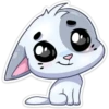 ️Gatito White 16