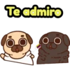 Perritos Pug  3 8