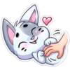 ️Gatito White 17