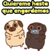Perritos Pug  3 9