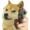 Perros Memes 12