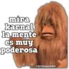 LOS CHISYOSOS 4 14