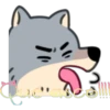 Amigo lobo 17