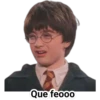Harry Potter 17