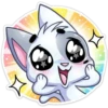 ️Gatito White 19