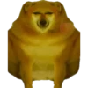 Perros Memes 13