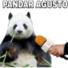 PANDAR AGUSTO