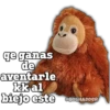 ge ganas
de
aventarle
kk al
biejo este
@BOSHADDER