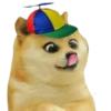 Perros Memes 14