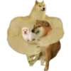 Perros Memes 15