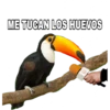 ME TUCAN LOS HUEVOS