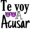 Hermanos Tóxicos 13
