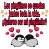 Pingüinitos de amor 11