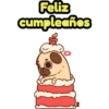 Perritos Pug  3 16