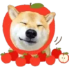 ︎Perro disfa2︎ 15
