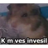 HÁMSTERS 10