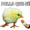 POLLO QUE SE