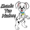 101 dálmatas 20