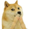 Perros Memes 19
