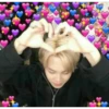 ️BTS LOVE 16