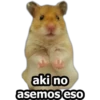 HÁMSTERS 12
