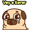 Perritos Pug  3 18