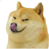 Perros Memes 20