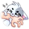 ️Gatito White 23
