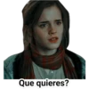 Harry Potter 21
