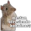 LOS CHISYOSOS 4 21