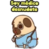 Perritos Pug  3 19