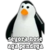 @BOSHADDER
seyora nose
aga pendega