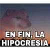 Perros Memes 21