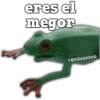 LOS CHISYOSOS 4 22