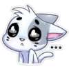 ️Gatito White 24