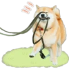 388