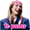 Dυa LIPA 22