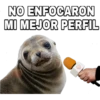 NO ENFOCARON
MI MEJOR PERFIL