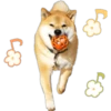 ︎Perro disfa2︎ 19